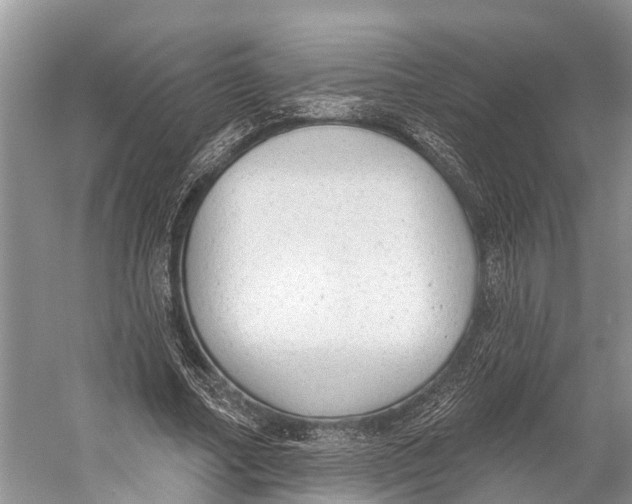X0000053160682200508081437