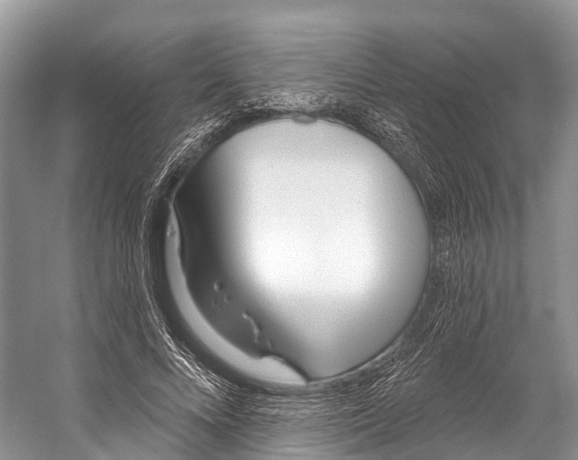 X0000053160688200508081437