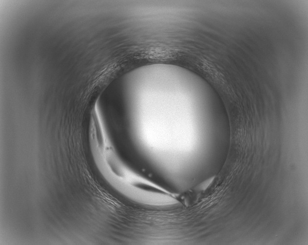 X0000053160689200508081437