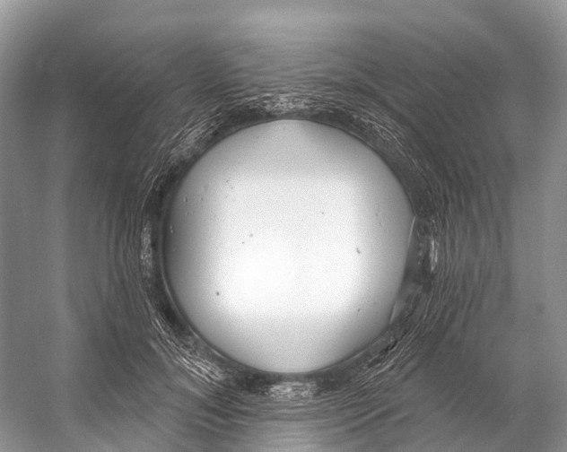 X0000053160700200508081437