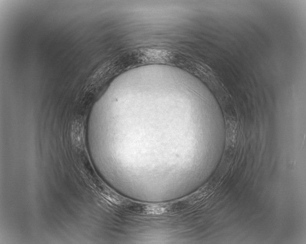 X0000053160701200508081437