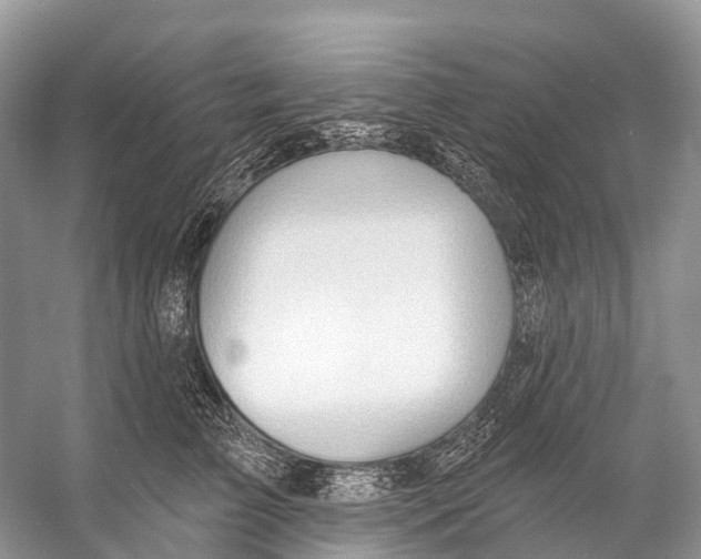 X0000053160709200508081437