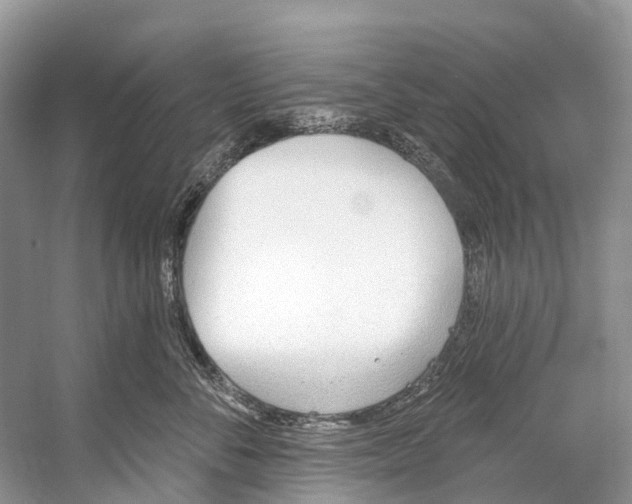 X0000053160716200508081437