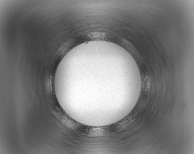 X0000053160717200508081437