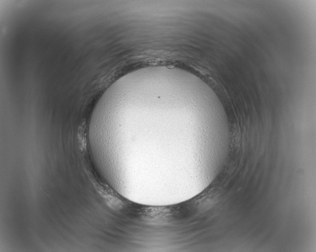 X0000053160719200508081437