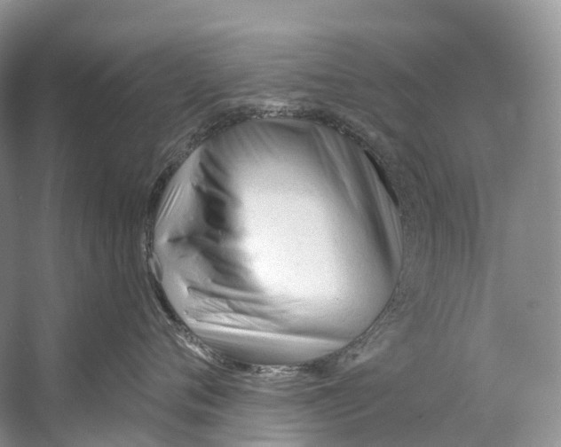 X0000053160720200508081437