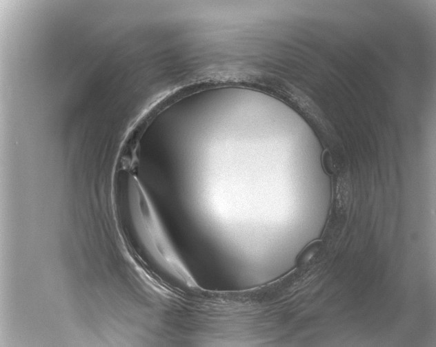 X0000053160722200508081436