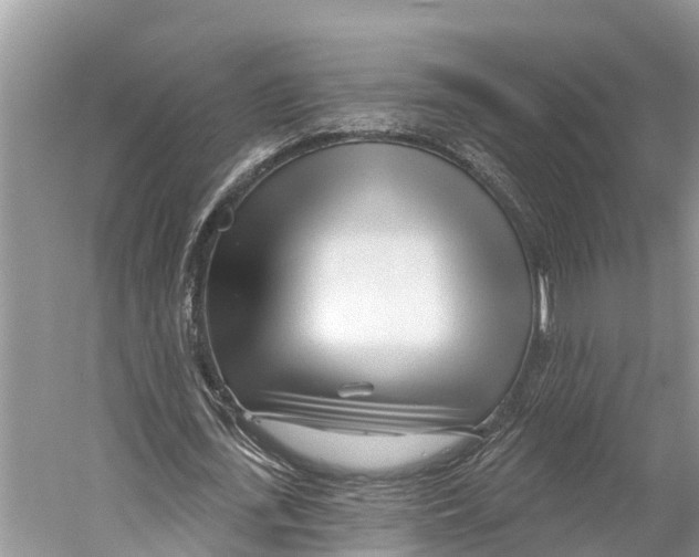 X0000053160723200508081436
