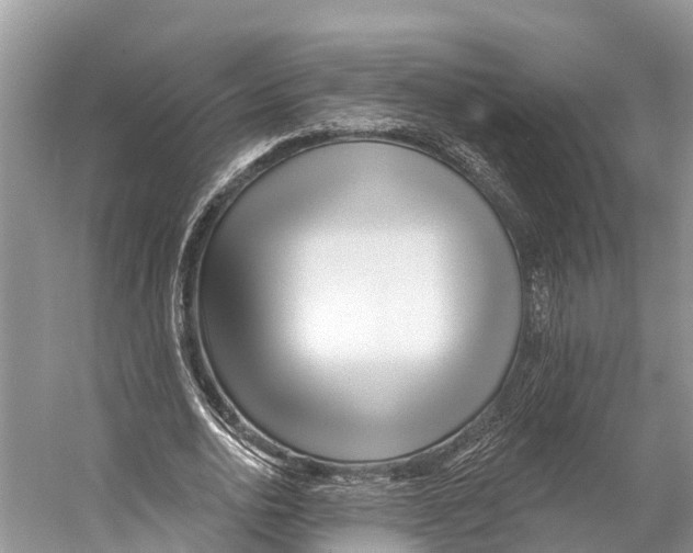 X0000053160726200508081436