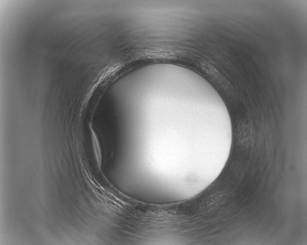 X0000053160731200508081436