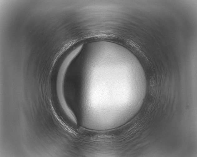 X0000053160734200508081436