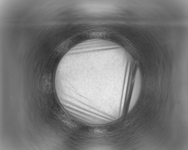 X0000053160737200508081436