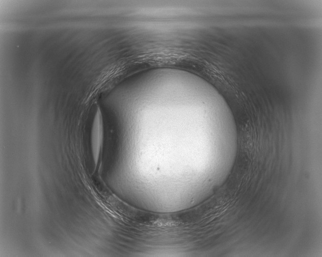 X0000053160742200508081436