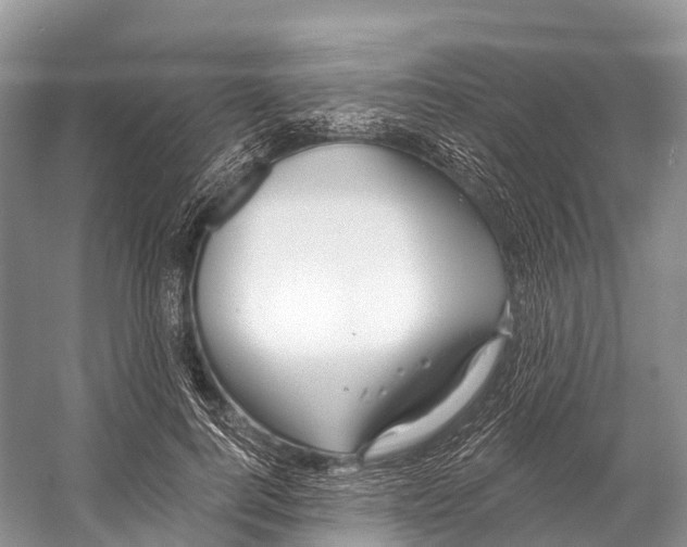 X0000053160744200508081436