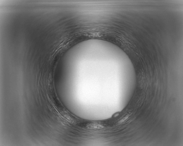 X0000053160747200508081436