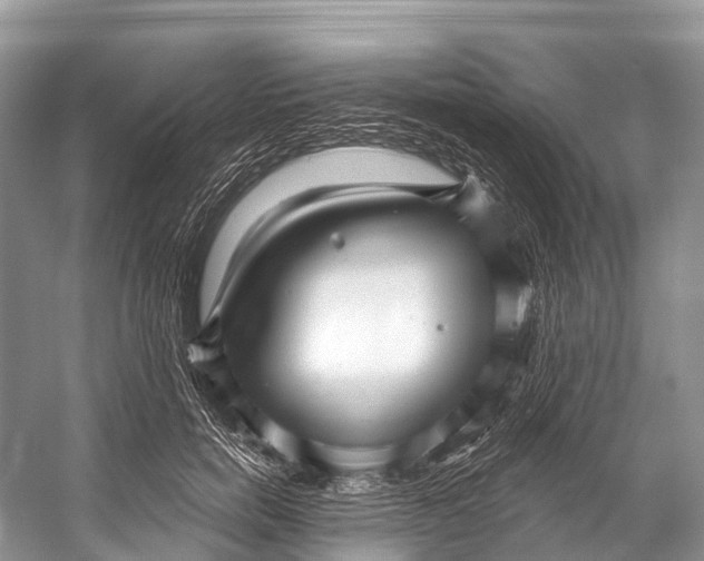 X0000053160750200508081436