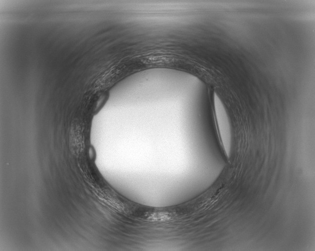 X0000053160751200508081436