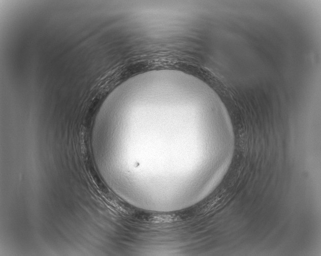 X0000053160757200508081436