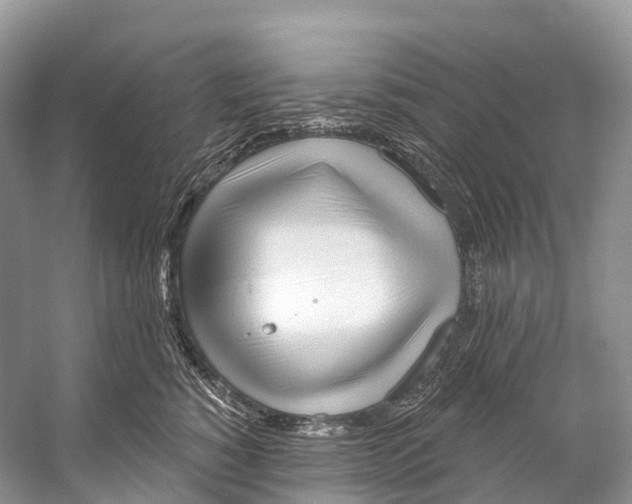 X0000053160760200508081436
