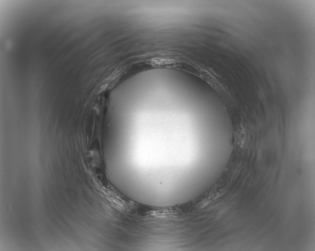 X0000053160763200508081436