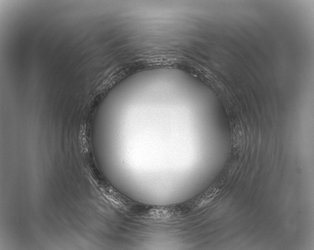 X0000053160764200508081436