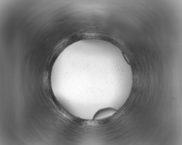 X0000053160765200508081437