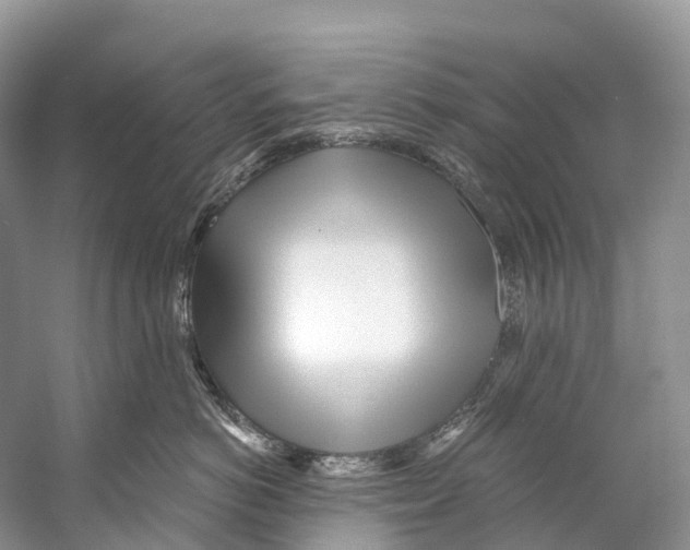 X0000053160766200508081437