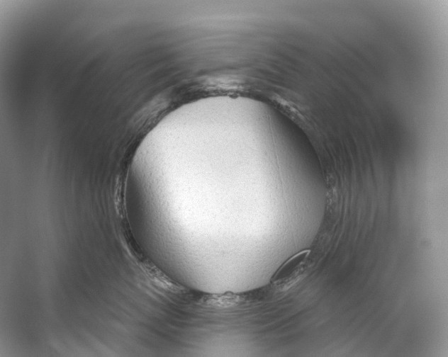 X0000053160767200508081437
