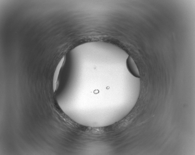 X0000053160768200508081437