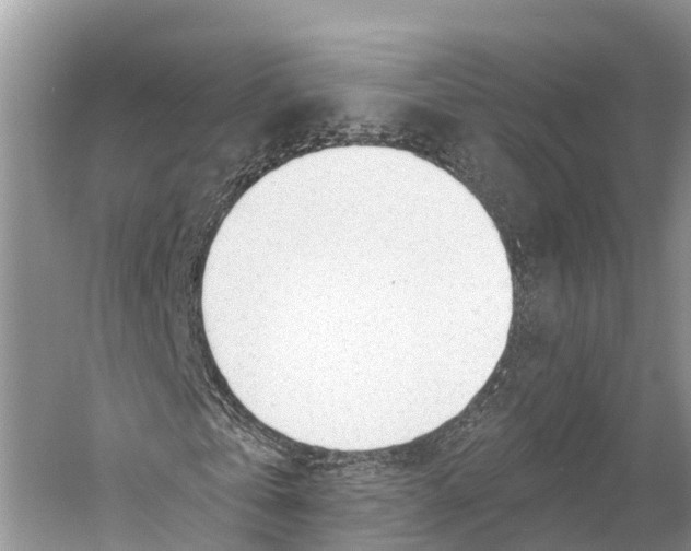 X0000053160769200508081436