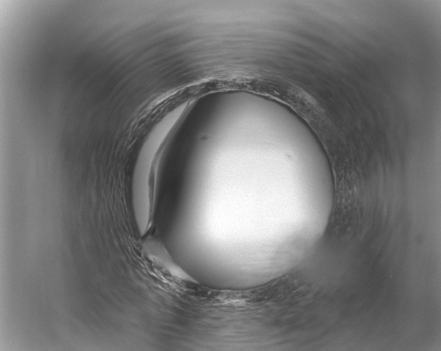 X0000053160773200508081436