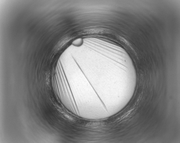 X0000053160778200508081436