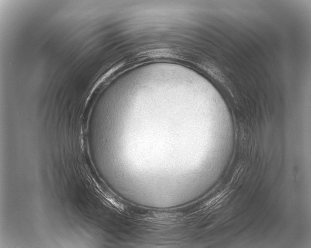 X0000053160782200508081436