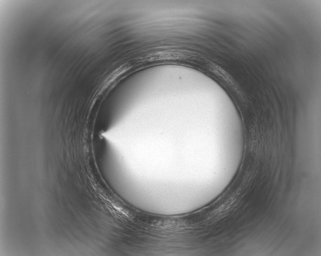 X0000053160786200508081435