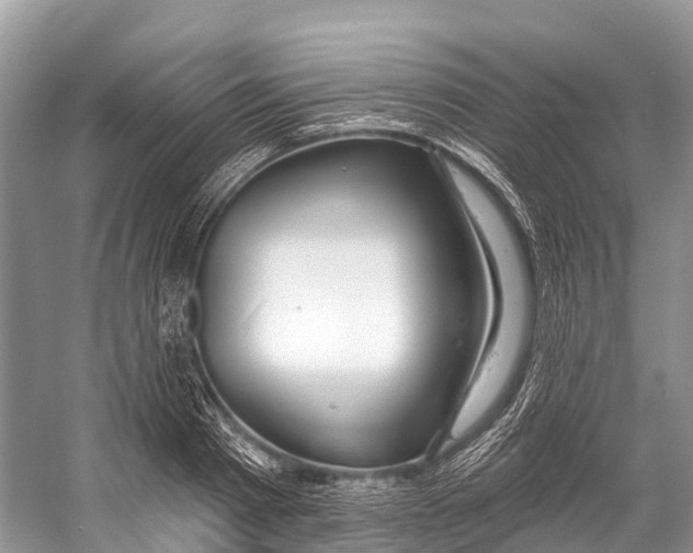 X0000053160793200508081435