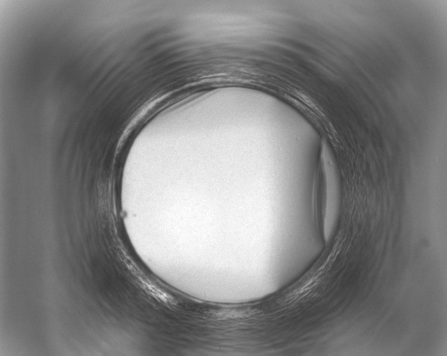 X0000053160796200508081435