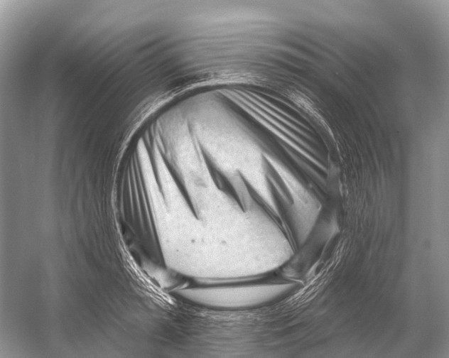 X0000053160797200508081435