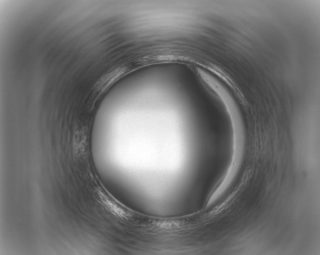 X0000053160801200508081435