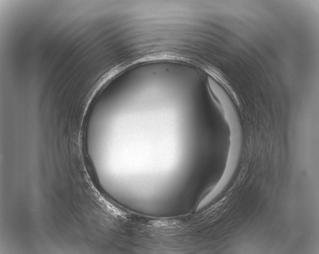 X0000053160805200508081435