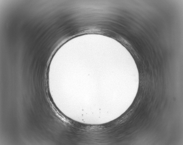 X0000053160808200508081435