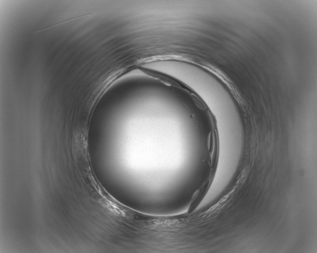 X0000053160809200508081435