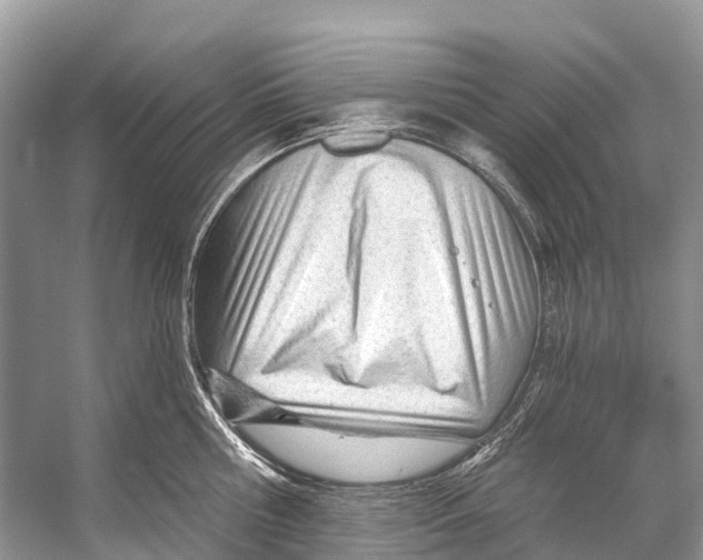 X0000053160810200508081435