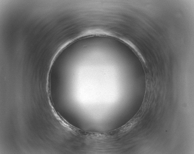 X0000053160815200508081435