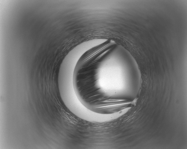 X0000053160818200508081434
