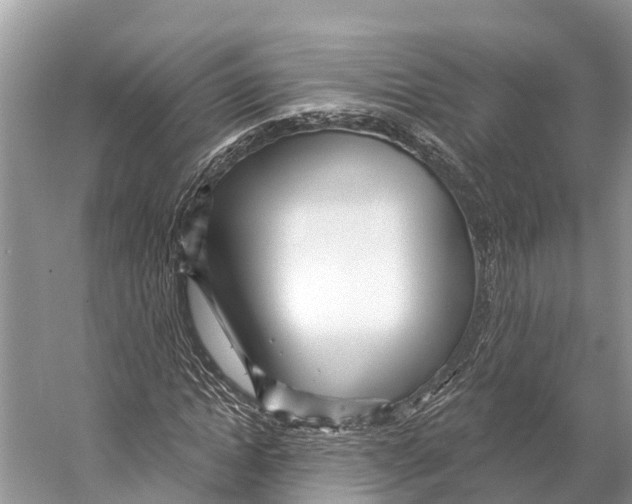 X0000053160822200508081434