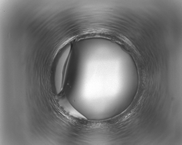 X0000053160826200508081434
