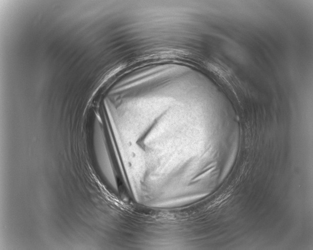 X0000053160827200508081434