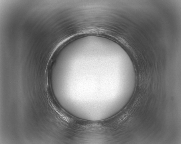 X0000053160838200508081434