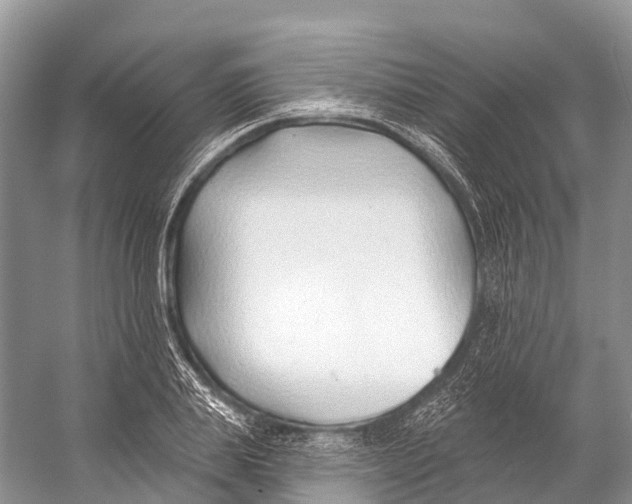 X0000053160839200508081434