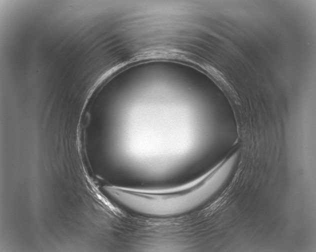 X0000053160846200508081435